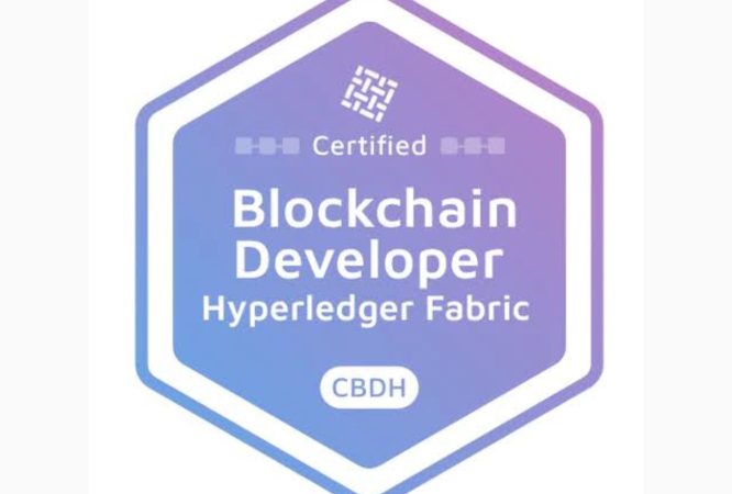 Certified Blockchain Developer Hyperledger (CBDH)